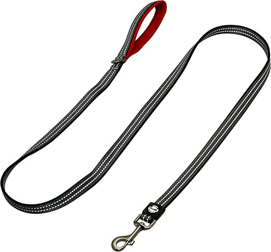 Franklin Pet Supply Nylon Dog Leash – Reflective – Comfort Fit – Neoprene Handle – 6 Foot – Dog Training – Walking – Red
