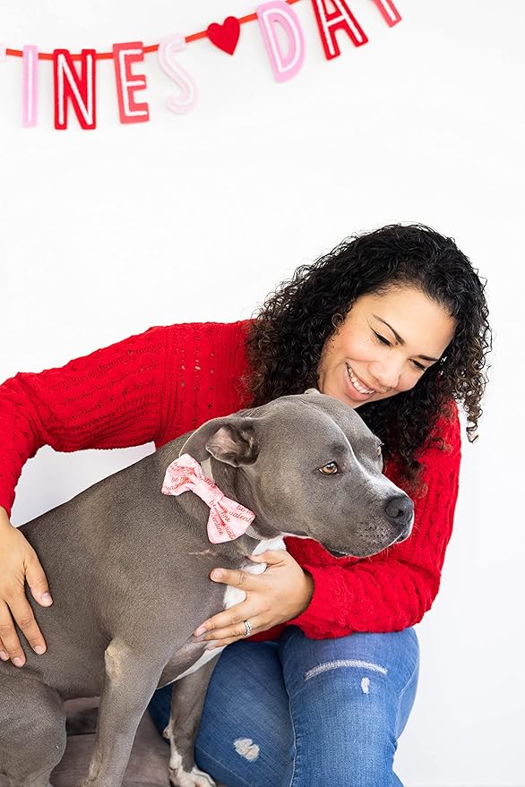 Pearhead Be My Valentine Pet Bandana, Valentine’s Day Slide-On Dog Bandana, Dog Apparel, Pet Accessory, M/L