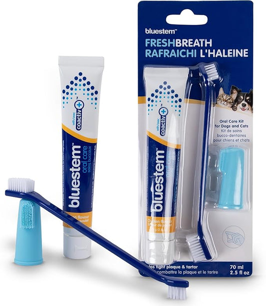 Bluestem Dog & Cat Toothbrush and Toothpaste Kit - Dog and Cat Toothpaste with Coactiv+ Technology to Reduce Tartar Buildup - Sticky and Long-Lasting Cat and Dog Toothpaste - Chicken Flavor