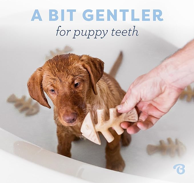 Benebone Puppy Fishbone Dog Chew Toys, Softer for Modest Chewers, Made in USA