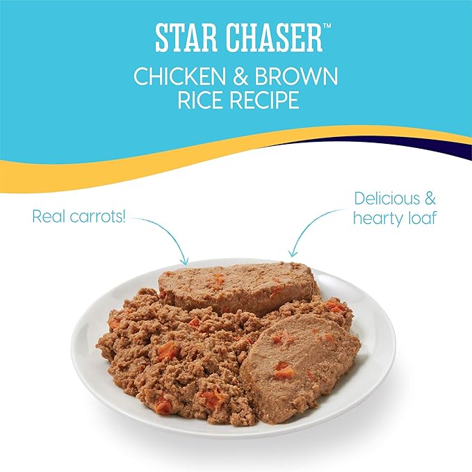 Solid Gold Canned Dog Food for Adult & Senior Dogs - Made with Real Chicken and Whole Grains - Star Chaser High Calorie Wet Dog Food for Healthy Digestion and Immune Support…