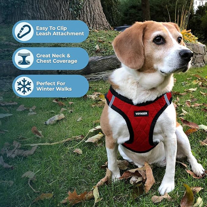 Voyager Step-in Plush Dog Harness – Soft Plush, Step in Vest Harness and Reflective Dog 5 ft Leash Combo with Neoprene Handle for Small and Medium Dogs by Best Pet Supplies -Set (Red Plush), XS