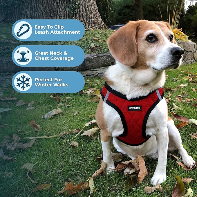 Voyager Step-in Plush Dog Harness – Soft Plush, Step in Vest Harness and Reflective Dog 5 ft Leash Combo with Neoprene Handle for Small and Medium Dogs by Best Pet Supplies -Set (Red Plush), M