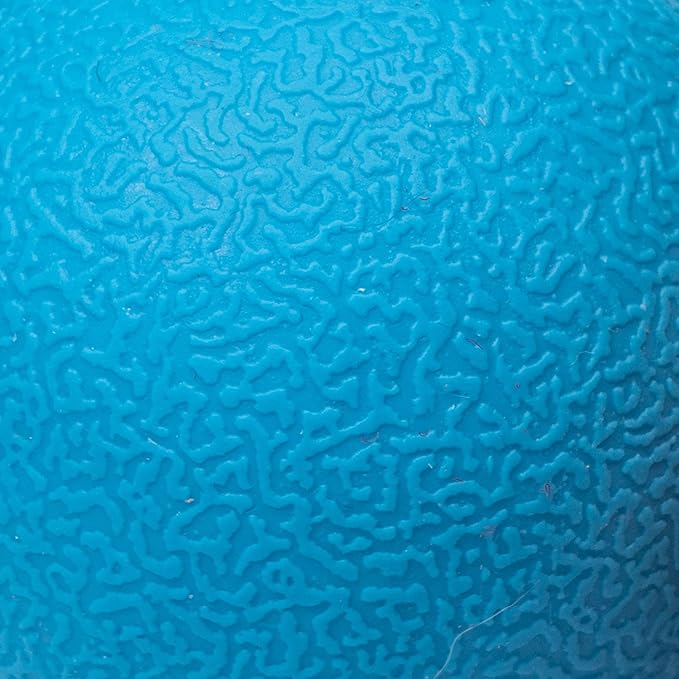 Amazon Basics Squeaker Toy Dog Balls, 3-Inch, 2-Pack, Blue, Orange