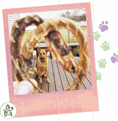 Nature Gnaws - Pork Bully Stick Pretzels for Dogs - Premium Natural Pork Dental Chews - Jerky Treats for Puppies and Small Breeds - Rawhide Free