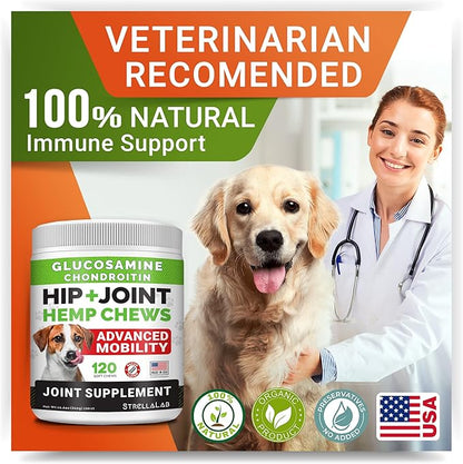 Hemp + Glucosamine Dog Joint Supplement - Hemp Chews for Dogs Hip Joint Pain Relief - Omega 3, Chondroitin, MSM - Advanced Mobility Hemp Oil Treats - Bacon Flavor - 120 Ct - Made in USA
