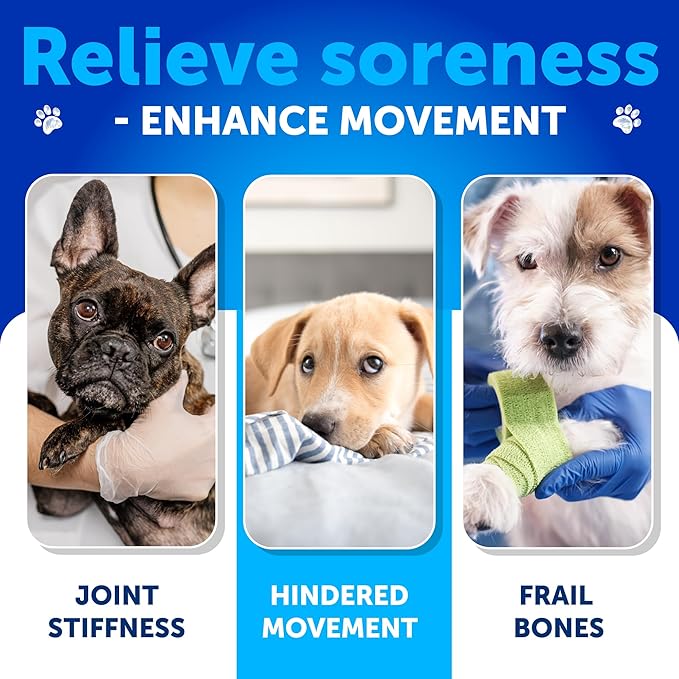 Glucosamine for Dogs - Hip and Joint Supplement for Dogs - Glucosamine Chondroitin For Dogs, Turmeric, MSM - Dog Glucosamine Support - Dog Joint Pain Relief Health - Mobility Treats - 120 Chews
