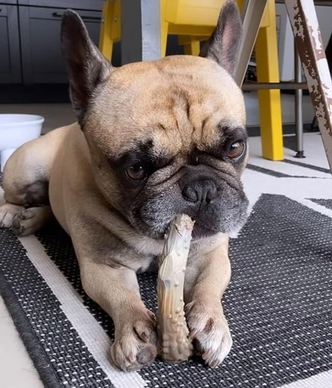 Nylabone Power Chew Antler Alternative Nylon Chew Toy for Dogs, Dog Toys for Aggressive Chewers, Venison Flavor, Medium/Wolf (1 Count)