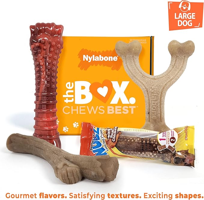 Nylabone Dog Toy Gift Box, includes 3 Strong Chew Toys and 1 Dog Treat, Chew Toys for Large Dogs, Large/Giant (4 Count)