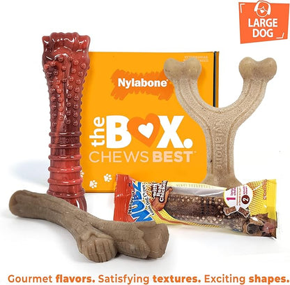 Nylabone Dog Toy Gift Box, includes 3 Strong Chew Toys and 1 Dog Treat, Chew Toys for Large Dogs, Large/Giant (4 Count)