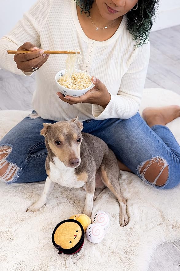 Pearhead Dogkatsu Ramen Dog Toys, Set of 3, Must Have Toys for Pet Owners, Plush Chew Toys Set of 3, Ramen Noodle Toy Set for Pets