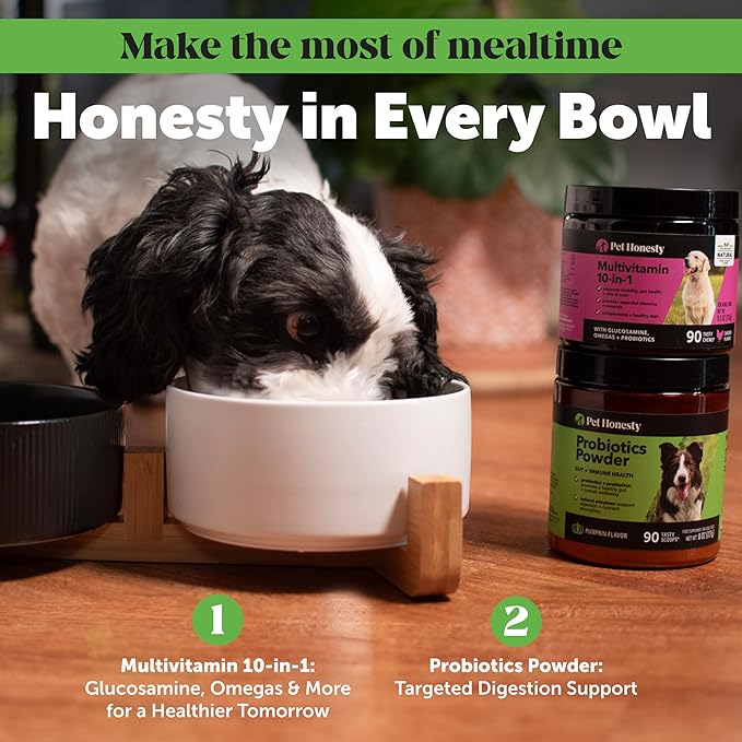 Pet Honesty All-Natural Probiotic & Pumpkin Powder Dog Supplement - Prebiotics, Probiotics, Enzymes & Antioxidants for Healthy Gut Flora, Anti Diarrhea, Digestion & Immunity (90 scoops)