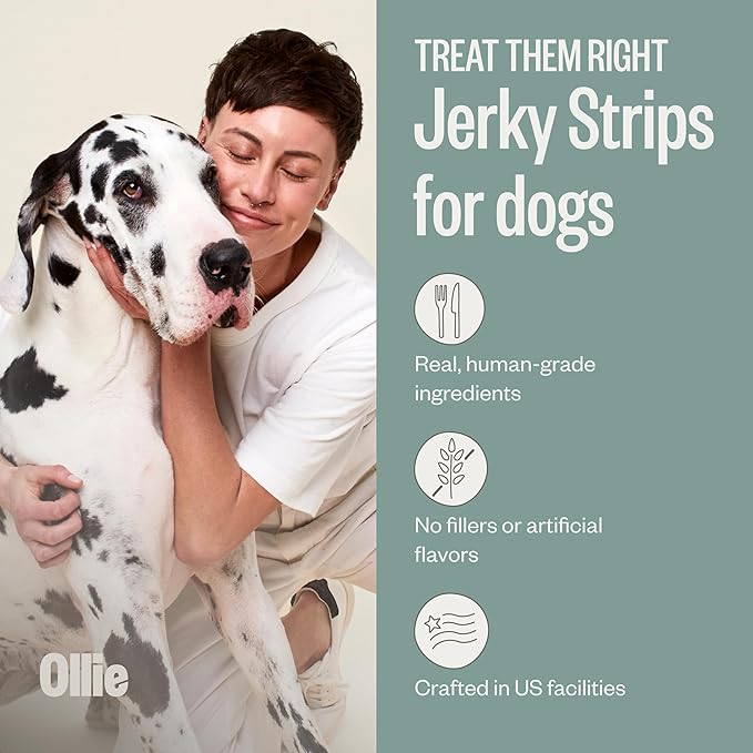 Ollie Chicken and Apple Recipe Jerky Dog Treats - Dog Jerky Treats All Natural - Healthy Dog Treats - Chicken Jerky for Dogs - Real Meat Dog Treats 15 Oz.