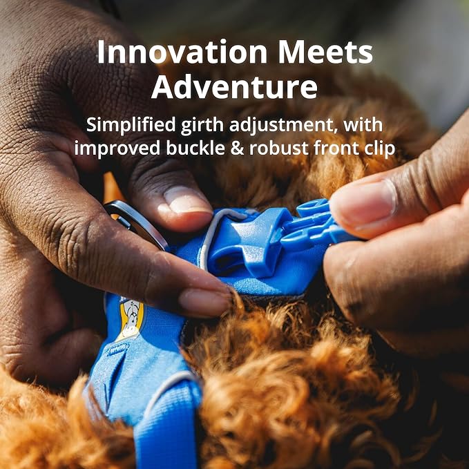 Ruffwear, Front Range Dog Harness, Reflective and Padded, No Pull Harness for Training and Everyday, Blue Pool, X-Small