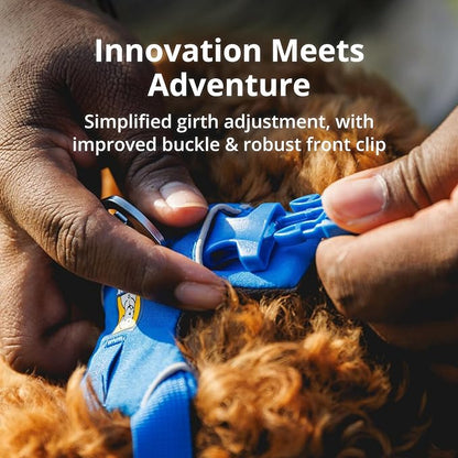 Ruffwear, Front Range Dog Harness, Reflective and Padded, No Pull Harness for Training and Everyday, Blue Pool, X-Small