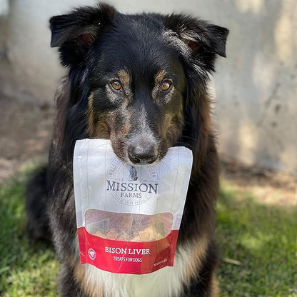 Mission Farms Freeze-Dried Raw Bison Liver Dog Treats, 3oz Bag