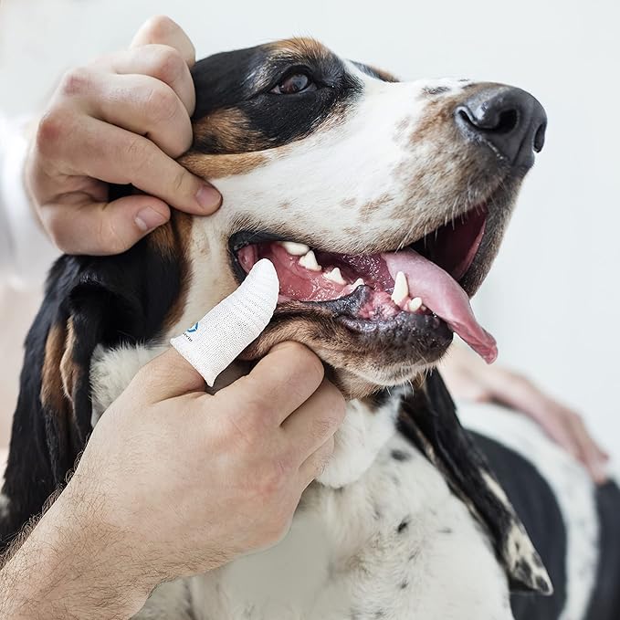 Pet Toothbrush for Small to Large Dogs Cats,Soft High Grade Finger Toothbrush,Teeth Oral Cleaning,Dental Care, 1 Set for Two Fingers White (4)