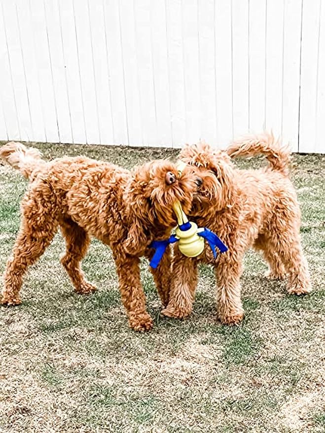 Nylabone Power Play Dog Fetch Toys Fling-a-Bounce Medium (1 Count)