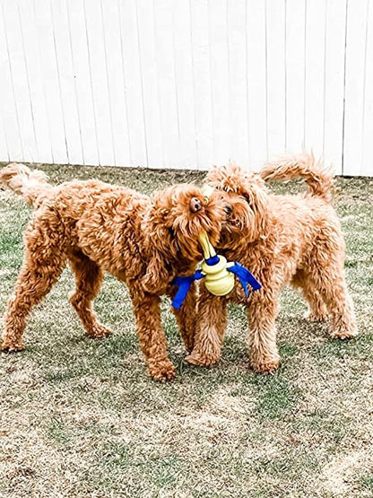 Nylabone Power Play Dog Fetch Toys Fling-a-Bounce Medium (1 Count)