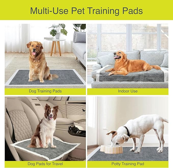 PetsUp Charcoal Puppy Training Pads - Pee Pads with Odor Control for Puppies & Dogs - Quick Dry Puppy Potty Training Pad - Non-Woven Surface, Deodorizing Filter, Quilted Gel Core - 22x23, 50-Pack