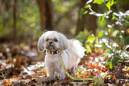 Pets First Collegiate Pet Accessories, Dog Leash, West Virginia Mountaineers, Small