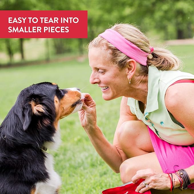 DOGSWELL Hip & Joint Dog Treats 100% Meaty, Grain Free, Glucosamine Chondroitin & Omega 3, Duck Soft Strips 10 oz