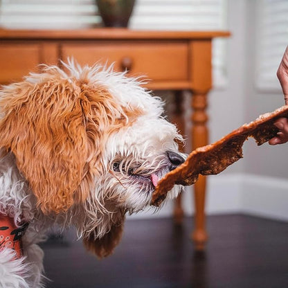 Pupford Salmon Jerky Treats for Dogs for Large & Small Dogs of All Ages | Made in USA, 100% Real Meat & No Fillers | Dogs Love These Tasty Dog Snacks (Salmon 4 oz)