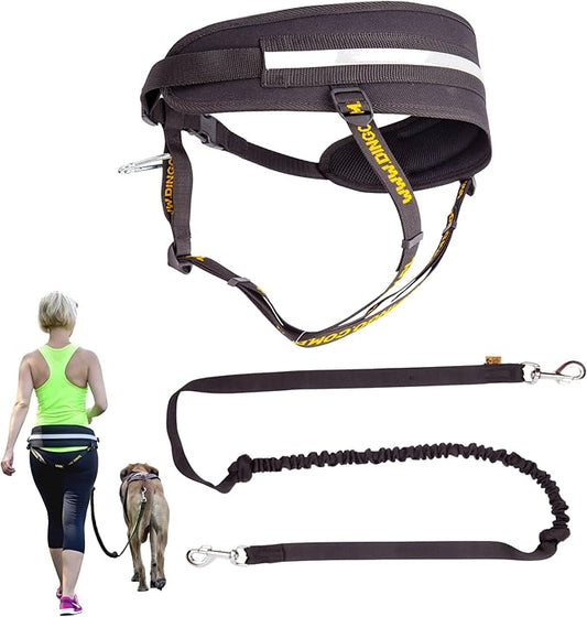 Dingo hands free leash belt for dog walking running hiking, training leash for large dog, bungee leash for medium dog, comfortable adjustable belt for walking with small dog, two snap hooks Z30005