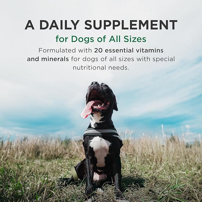 Pet-Tabs Plus Multivitamin and Mineral Supplement for Dogs with Special Nutritional Needs, Chewable Tablet, 60 Count Bottle
