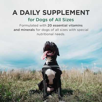 Pet-Tabs Plus Multivitamin and Mineral Supplement for Dogs with Special Nutritional Needs, Chewable Tablet, 60 Count Bottle