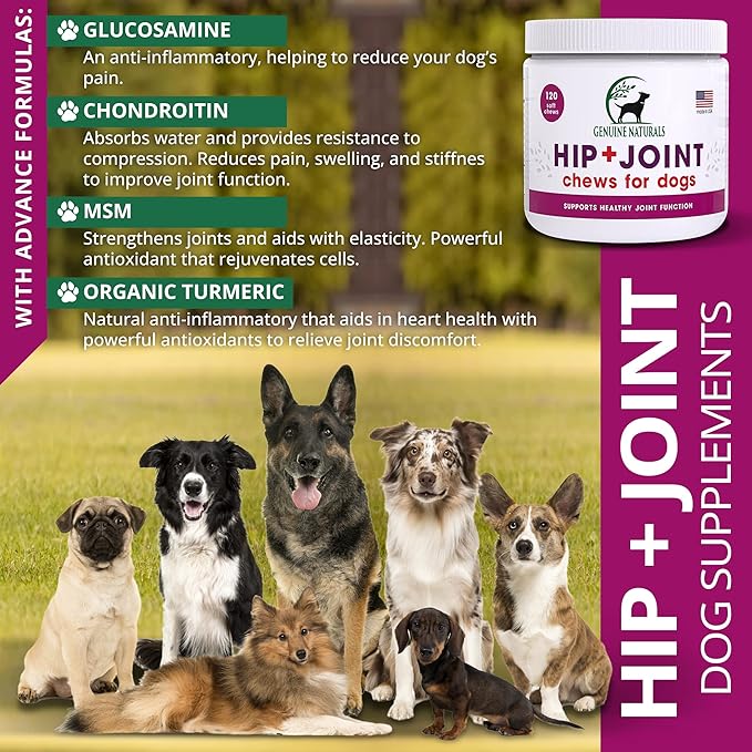 Hip and Joint Supplement for Dogs - Glucosamine Chondroitin, MSM, Organic Turmeric Soft Chews, Dog Vitamins, Supports Healthy Joint Function and Helps with Pain Relief,120 Count