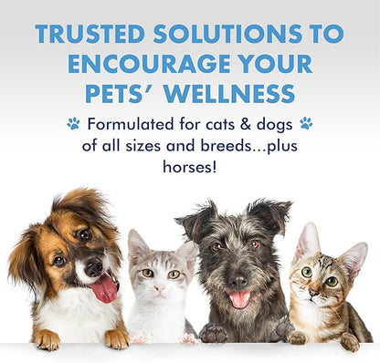 PetSilver Immune Support Supplement, Promotes Respiratory Health in Cats and Dogs, Helps Cough & Allergies, Nebulizer Solution, All Natural Dog Allergy Relief, Patented Chelated Silver, 16 oz