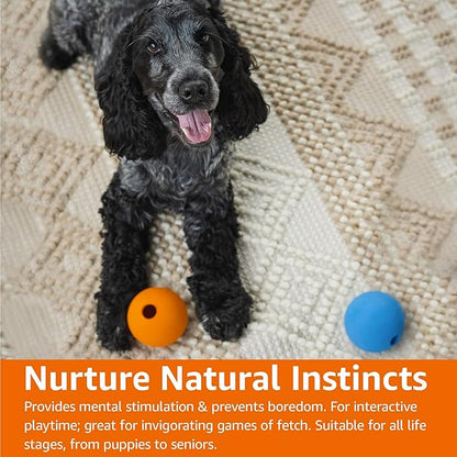 Amazon Basics Rubber Fetch Toy Dog Balls, 2.5-Inch, 10-Pack, Blue, Orange