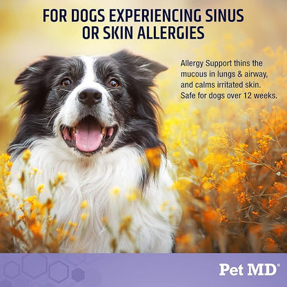 Pet MD Allergy Aid - Puppy & Dog Allergy Chews with Quercetin & Pumpkin - Immune & Seasonal Allergy Relief for Dogs - Skin & Itch Relief for Dogs - 60 ct