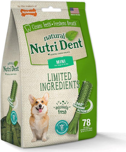 Nylabone Nutri Dent Dog Dental Treats - Natural Dog Teeth Cleaning & Breath Freshener - Dental Treats for Dogs - Fresh Breath Flavor, Mini (78 Count)