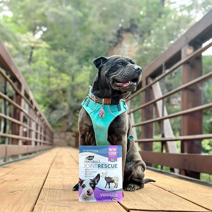 Ark Naturals Sea Mobility Joint Rescue Dog Treats, Venison Flavor, Joint Supplement with Glucosamine & Chondroitin, 1 Pack