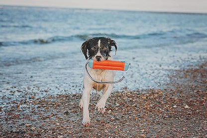 Chuckit Amphibious Bumper Fetch and Float Dog Toy, Medium (Assorted Colors)