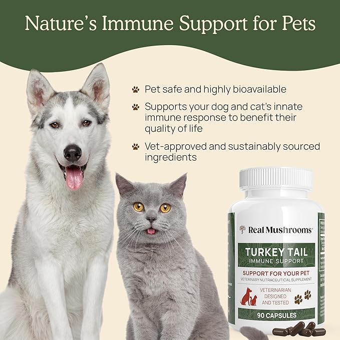 Turkey Tail Pet Support - Dog Multivitamins and Supplements for Immune Support, Gut Health & Wellness - Grain-Free, Gluten-Free, Vet-Approved Dog Supplement (90ct)