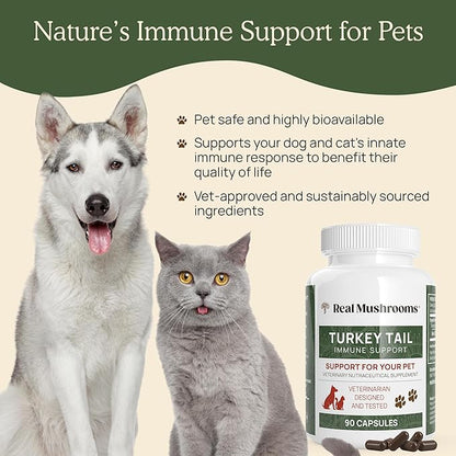 Turkey Tail Pet Support - Dog Multivitamins and Supplements for Immune Support, Gut Health & Wellness - Grain-Free, Gluten-Free, Vet-Approved Dog Supplement (90ct)