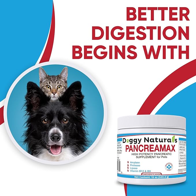 PancreaMax 10x Pancreatic Digestive Enzymes Supplement for Cats and Dogs(12 oz) Powder (Made in U.S.A).10x Pancreatin for Dogs Contain Pancreatic Enzyme | Pancreatin for Dogs (10x Porcine Pancreatin)