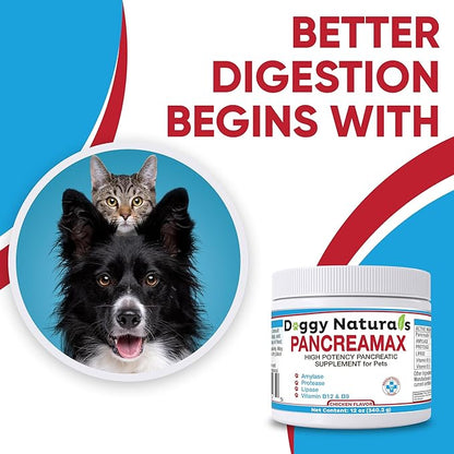 PancreaMax 10x Pancreatic Digestive Enzymes Supplement for Cats and Dogs(12 oz) Powder (Made in U.S.A).10x Pancreatin for Dogs Contain Pancreatic Enzyme | Pancreatin for Dogs (10x Porcine Pancreatin)