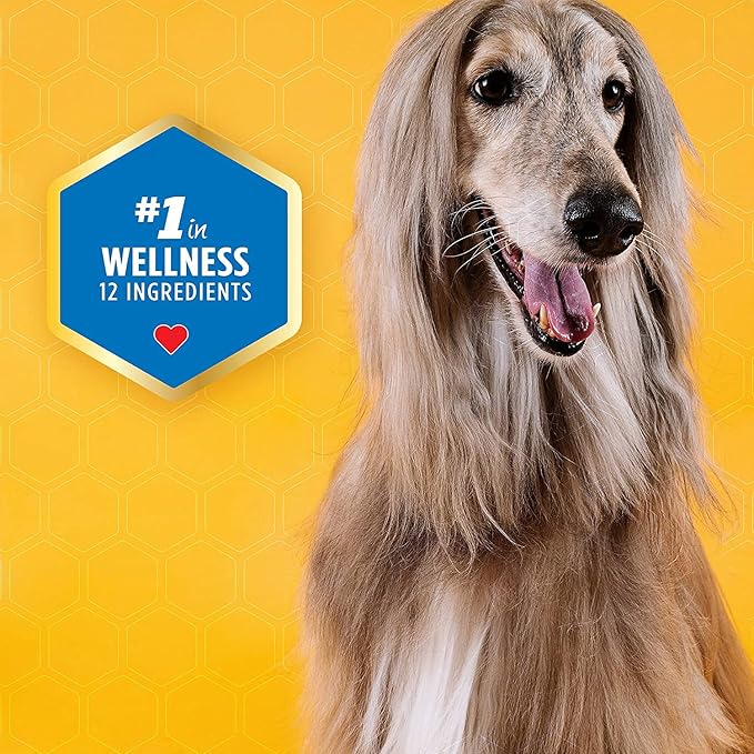 Dental Treats for Dogs | Old Version | Dental Dog Treats for Large Dogs (24oz, 18 Count)