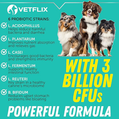 Premium Probiotics for Dogs & Cats - Digestive Enzymes & Prebiotics Supplement - Helps to Relieve Diarrhea, Vomiting, Upset Stomach, Gas, Constipation & Bad Breath - Supports Healthy Digestive System