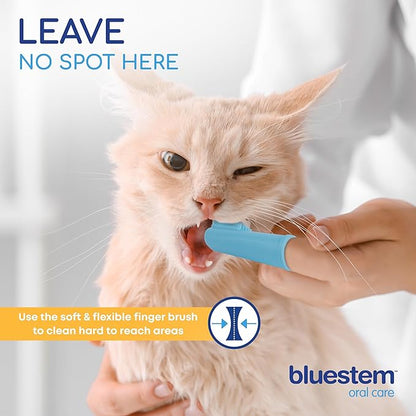 Bluestem Dog & Cat Toothbrush and Toothpaste Kit - Dog and Cat Toothpaste with Coactiv+ Technology to Reduce Tartar Buildup - Sticky and Long-Lasting Cat and Dog Toothpaste - Chicken Flavor