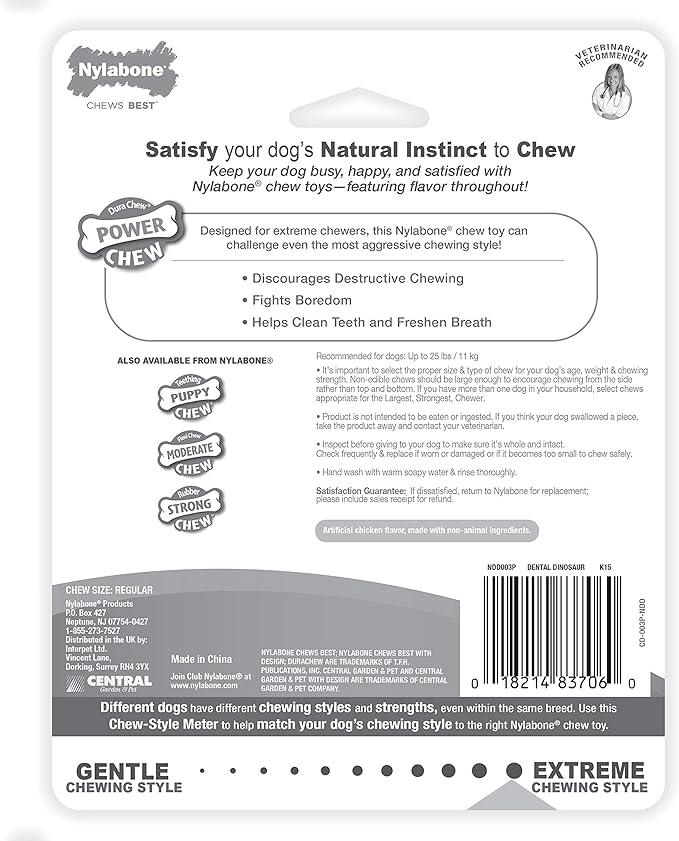 Nylabone Power Chew Dental Chew Toy Durable Dinosaur Dog Toy, Chicken Flavor, Small/Regular (1 Count)