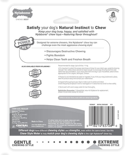 Nylabone Power Chew Dental Chew Toy Durable Dinosaur Dog Toy, Chicken Flavor, Small/Regular (1 Count)