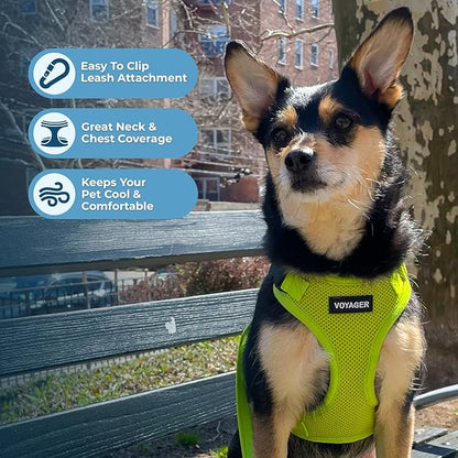 Voyager Step-in Lock Dog Harness w Reflective Dog Leash Combo Set with Neoprene Handle 5ft - Supports Small, Medium and Large Breed Puppies/Cats by Best Pet Supplies - Lime Green, M