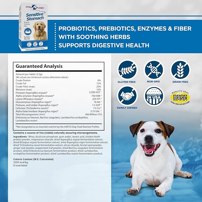 Vital Planet - Sensitive Stomach for Dogs with Enzymes, Probiotics and Fiber, Natural Digestive Support for Upset Stomach with Fennel, and Peppermint, 60 Chicken Flavored Chewable Tablets