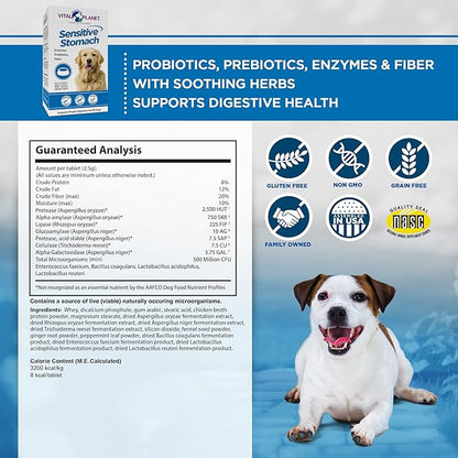 Vital Planet - Sensitive Stomach for Dogs with Enzymes, Probiotics and Fiber, Natural Digestive Support for Upset Stomach with Fennel, and Peppermint, 60 Chicken Flavored Chewable Tablets