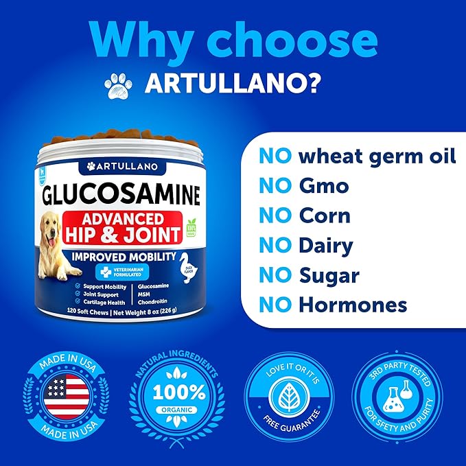 Glucosamine for Dogs - Hip and Joint Supplement for Dogs - Glucosamine Chondroitin For Dogs, Turmeric, MSM - Dog Glucosamine Support - Dog Joint Pain Relief Health - Mobility Treats - 120 Chews